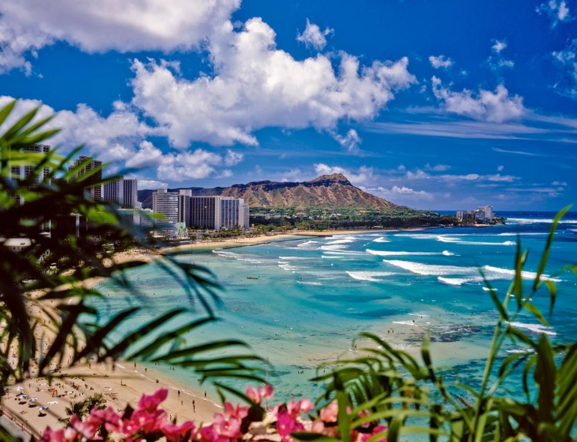 Diamond Head Views Retreat With Free Parking & Near Waikiki Beach! Honolulu Buitenkant foto