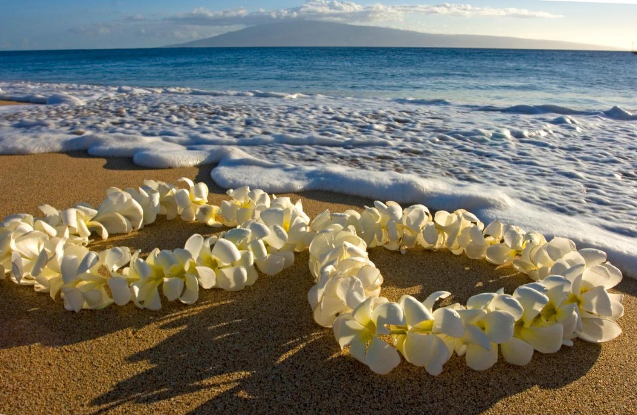 Diamond Head Views Retreat With Free Parking & Near Waikiki Beach! Honolulu Buitenkant foto