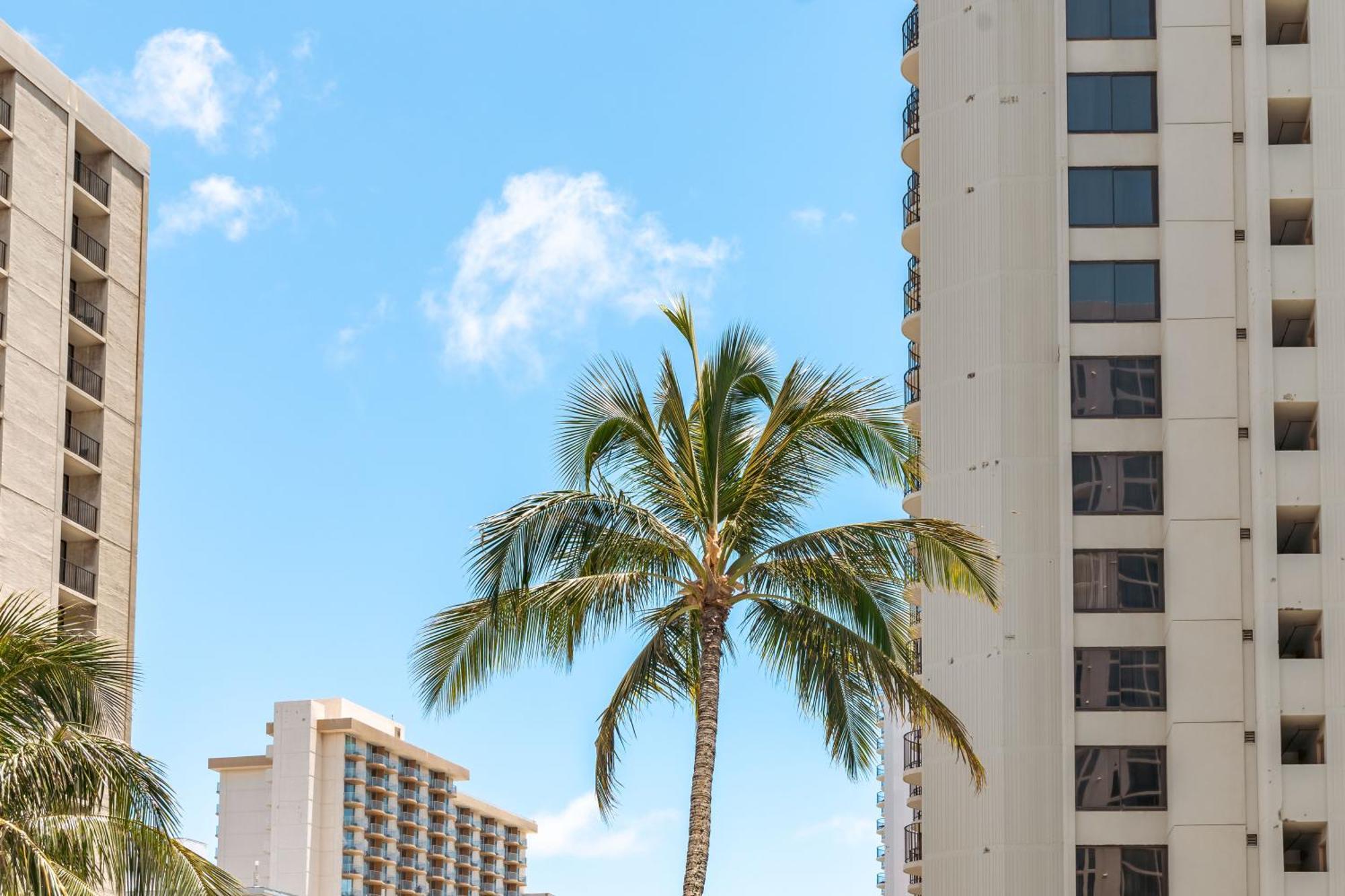 Diamond Head Views Retreat With Free Parking & Near Waikiki Beach! Honolulu Buitenkant foto
